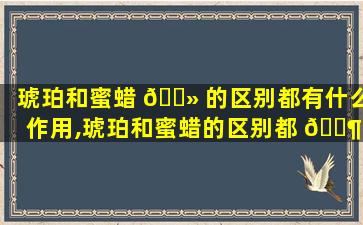 琥珀和蜜蜡 🌻 的区别都有什么作用,琥珀和蜜蜡的区别都 🐶 有什么作用与功效